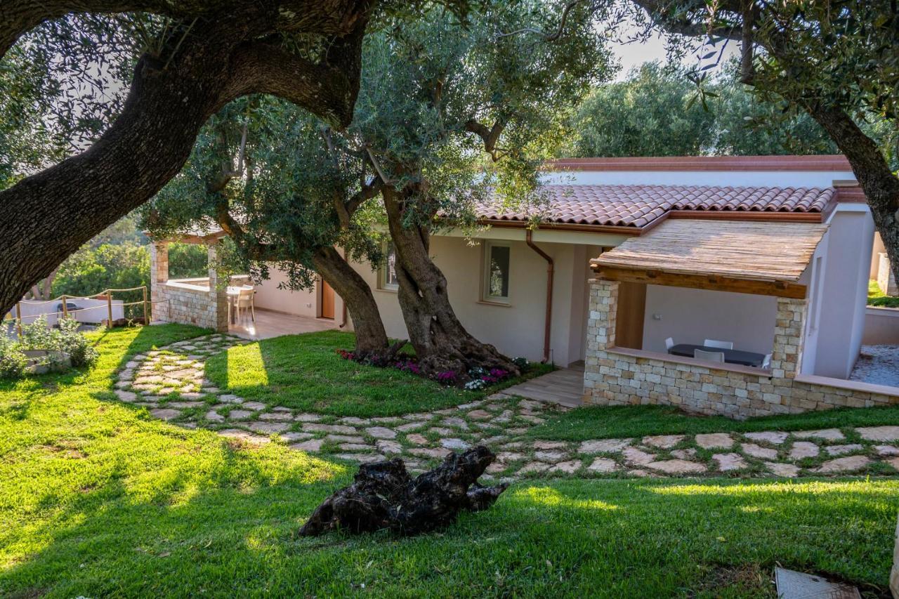 Il Mirto Residence Marina di Camerota Zewnętrze zdjęcie