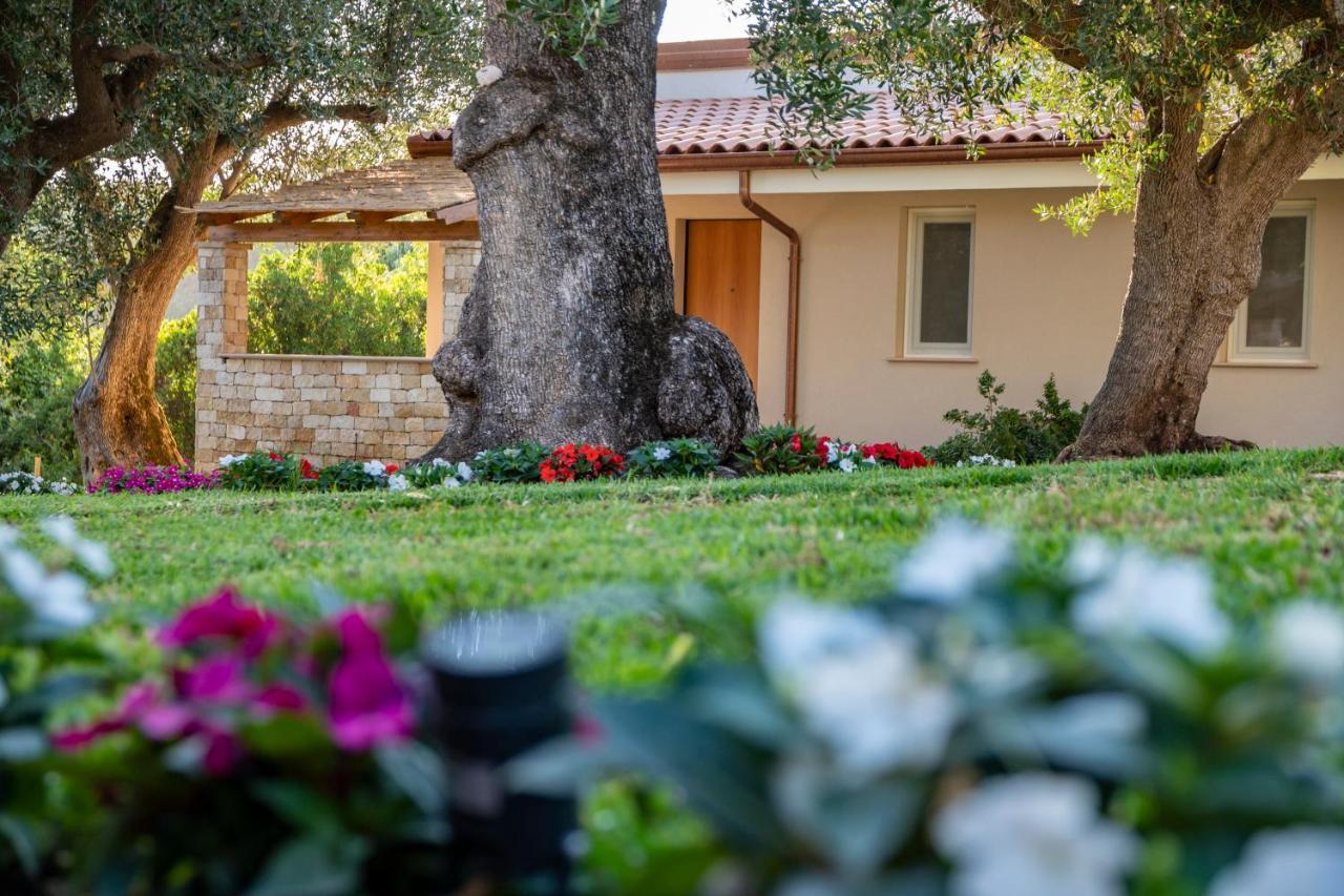 Il Mirto Residence Marina di Camerota Zewnętrze zdjęcie