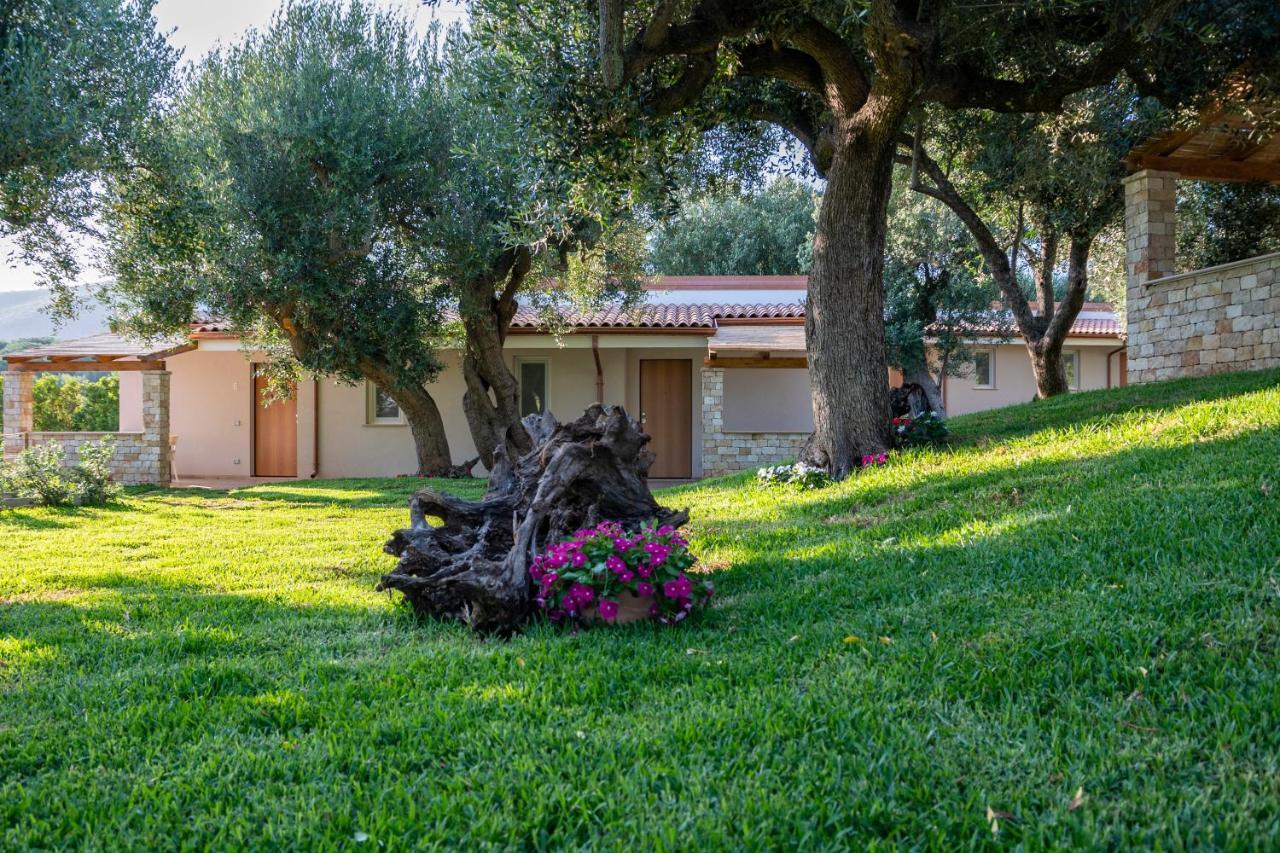 Il Mirto Residence Marina di Camerota Zewnętrze zdjęcie