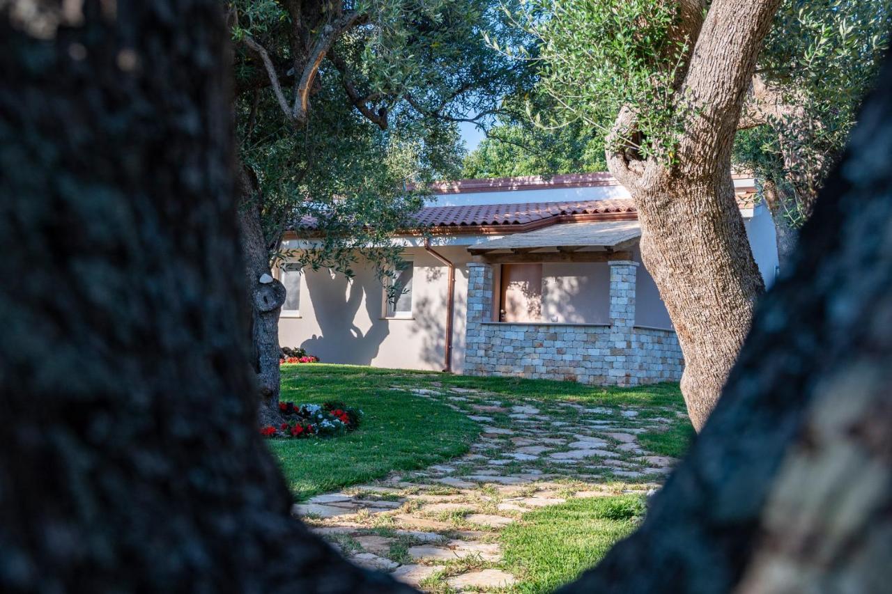 Il Mirto Residence Marina di Camerota Zewnętrze zdjęcie