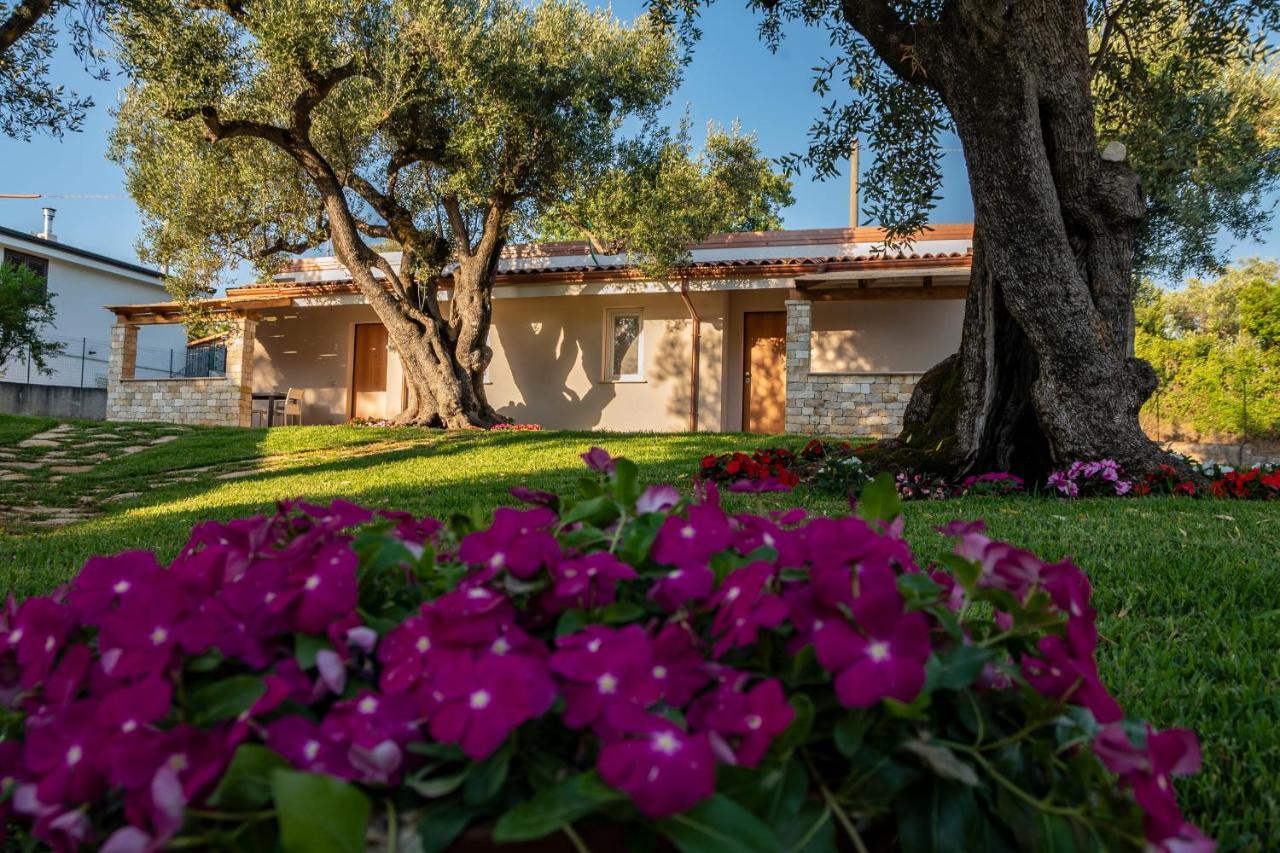 Il Mirto Residence Marina di Camerota Zewnętrze zdjęcie